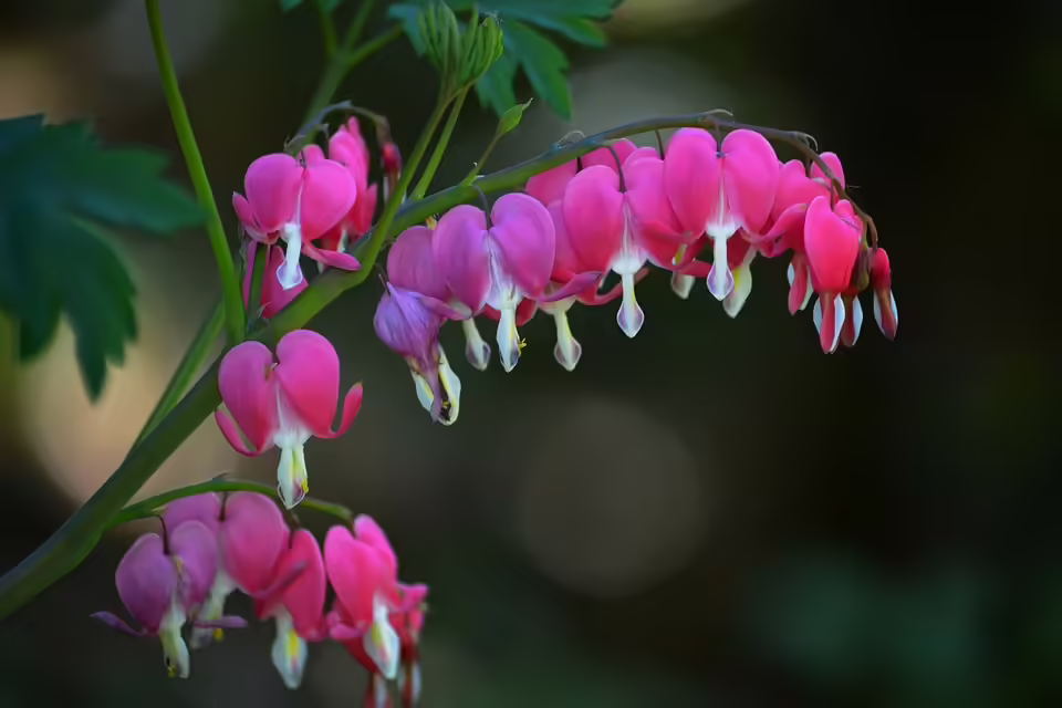 Mit Herz und Taschengeld: Kinder der Julius-Meinl-Gasse helfen Flutopfern