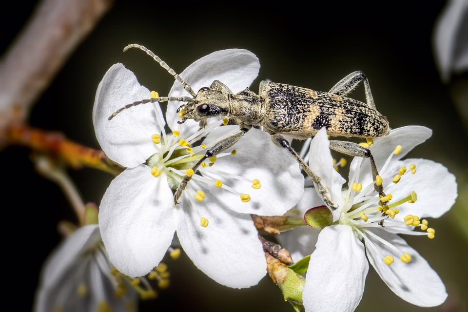 Morbus Bechterew: Unterstützung und Therapie im Bezirk Bad Ischl