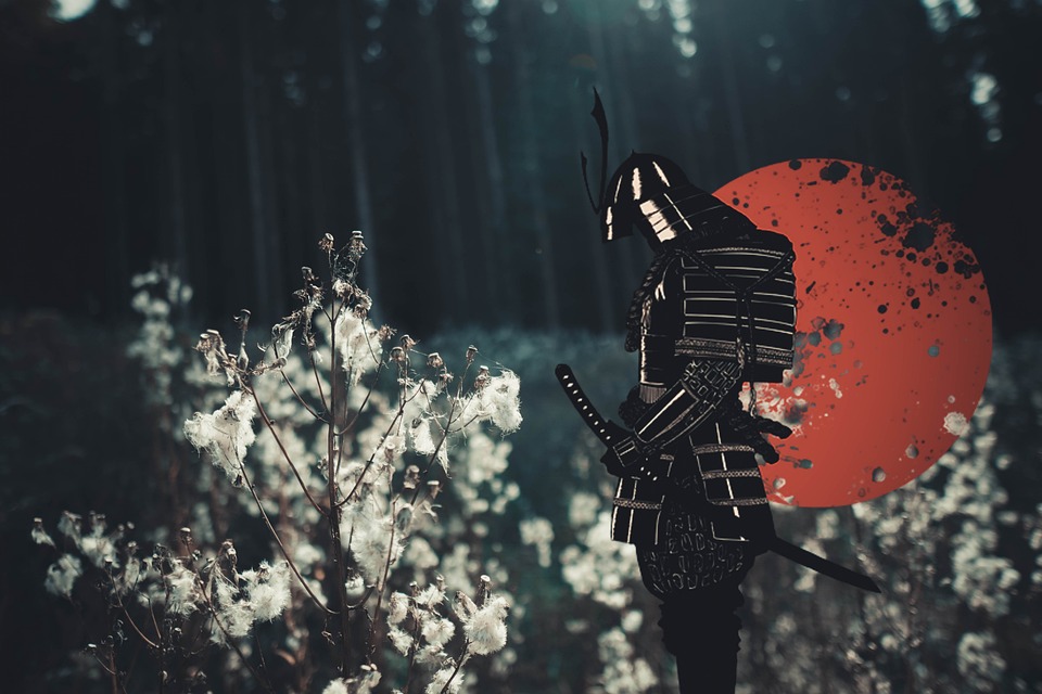 Mord und Musik: Karin Kehrers neuer Krimi entfaltet spannende Geheimnisse