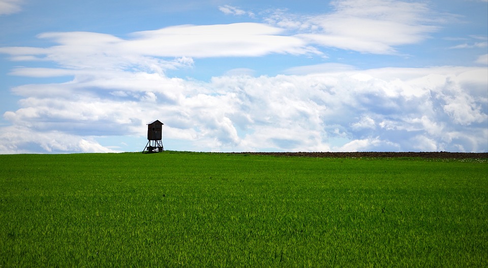 Mostlandl Hausruck: Ein Jahrzehnt für Regionen, Klima und Gemeinschaft