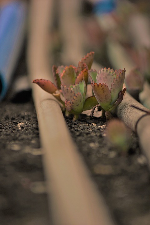 Mountainbike-Diebstahl in Villach: Tausende Euro Schaden