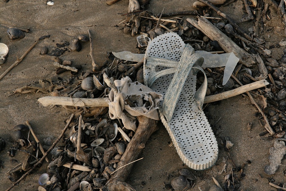 Müllproblem an der 52er-Haltestelle: Anwohnerin bringt neue Mistkübel