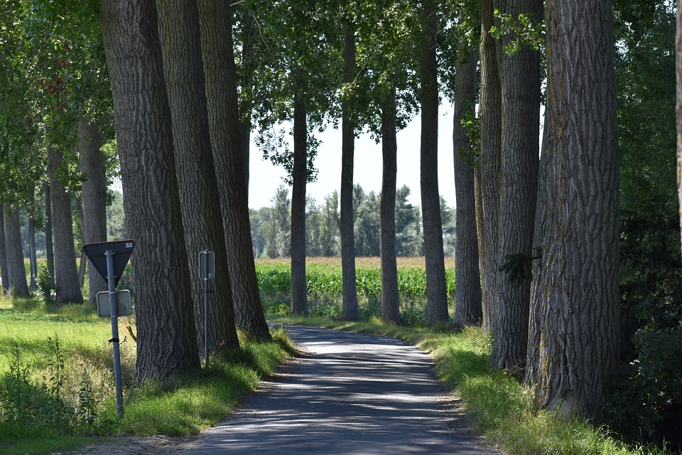 Musikalische Lesung in Perg: Richard Schneebauer setzt Zeichen gegen Gewalt