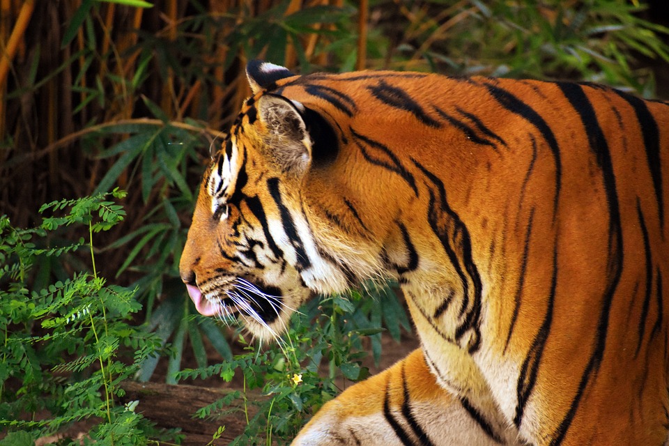 Mutige Zivilcourage: Passanten schützen Mädchen in Favoriten