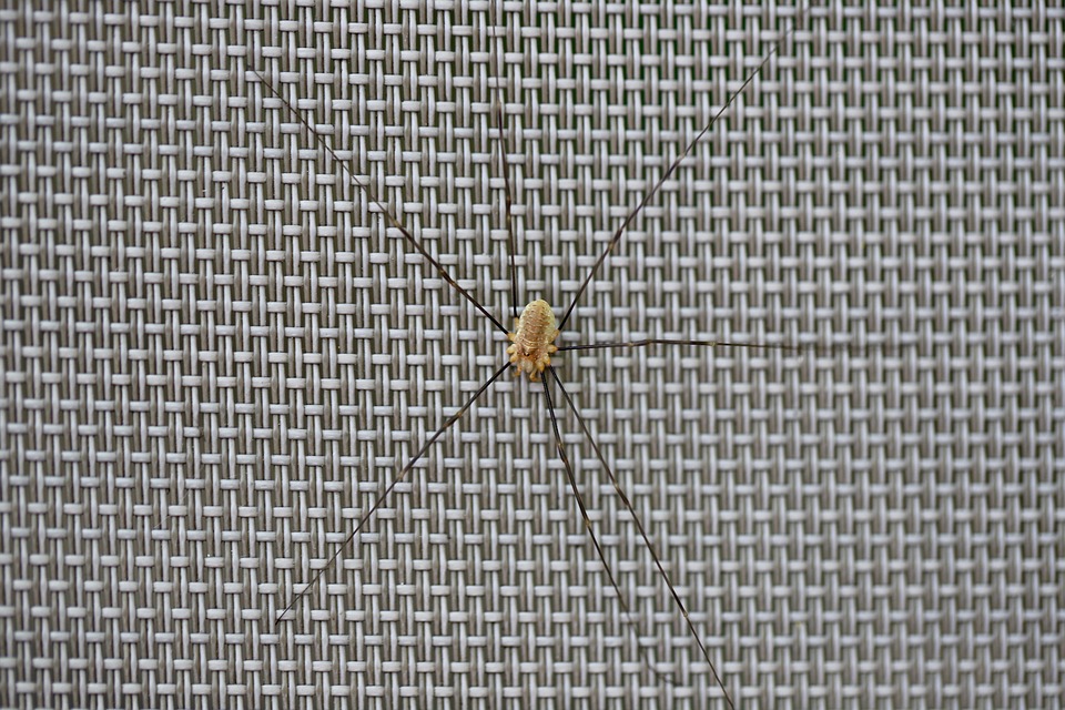 NEOS stellt sich auf: Christoph Schneider als Spitzenkandidat gewählt