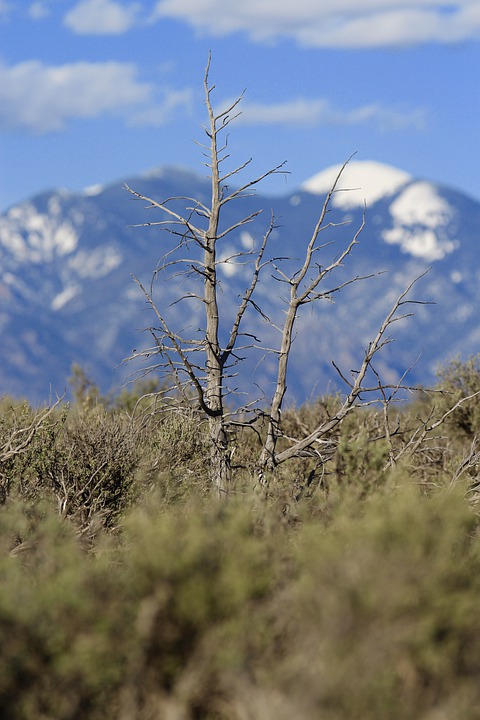 NMS Loosdorf: Schüler zeigen große Solidarität für Alina