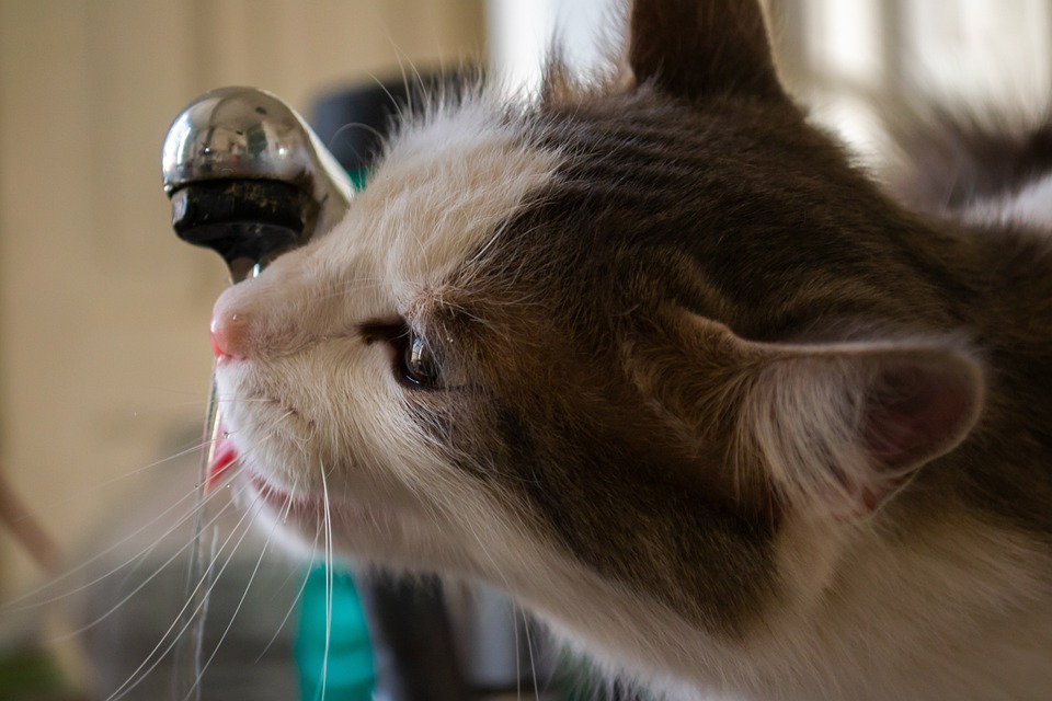 Nach Bakterienwarnung: Wietinger Trinkwasser wieder unbedenklich