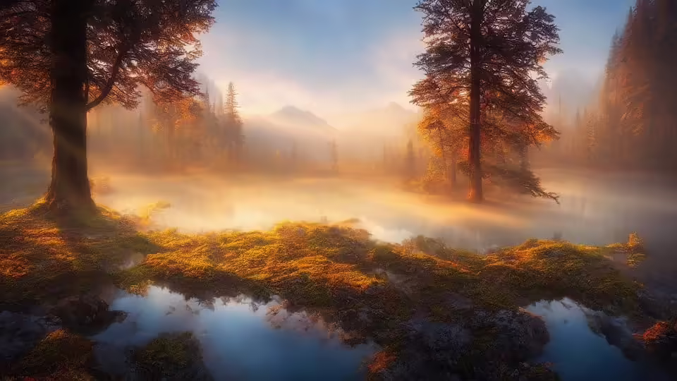 Nach desaströsem Herbst: SG Rohrbach sucht neuen Trainer