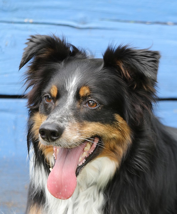 Nach drei Jahren: Neue Details aus dem FPÖ-Finanzskandal in Graz