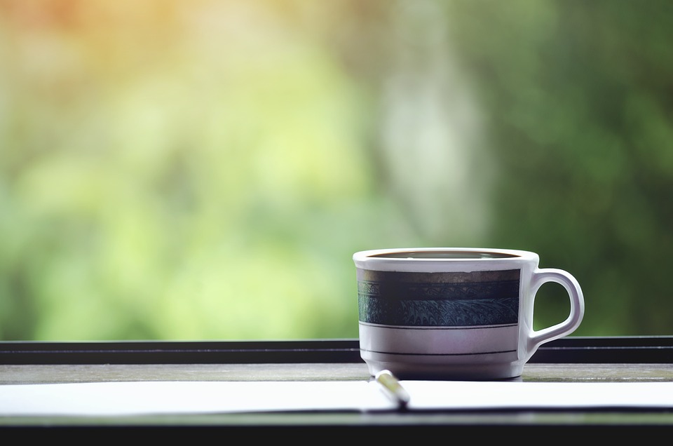 Nachhaltige Ideen aus dem Traunviertel: Oö. Landespreis 2024 verliehen