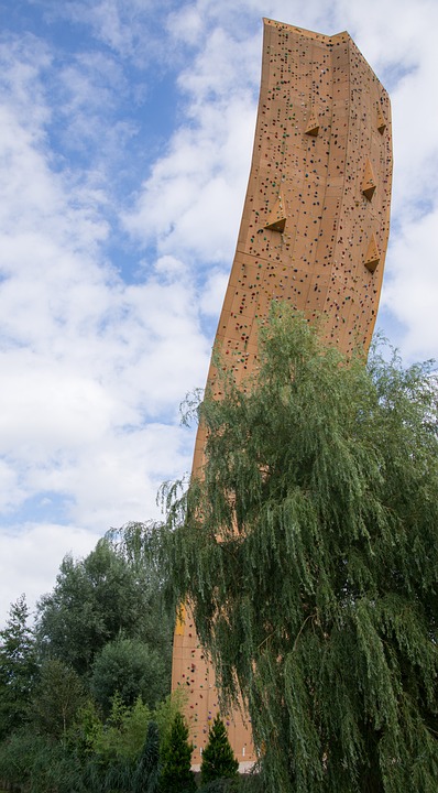 Nachhaltiges Gemüse aus Eferding: Herausforderungen und Chancen für Bio-Bauern
