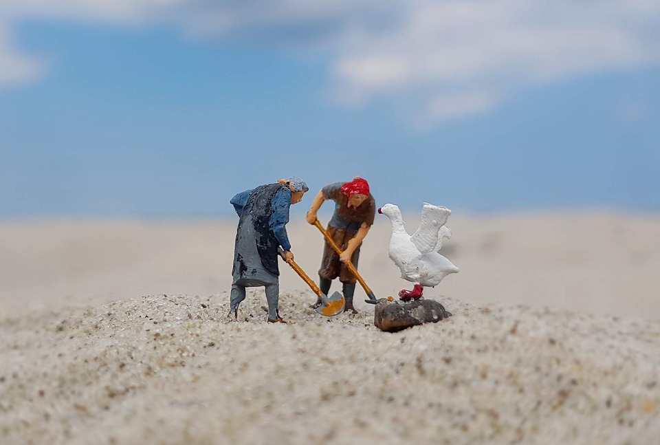 Neue Beach-Volleyball-Halle  Sandburg  in Wiener Neustadt eröffnet!
