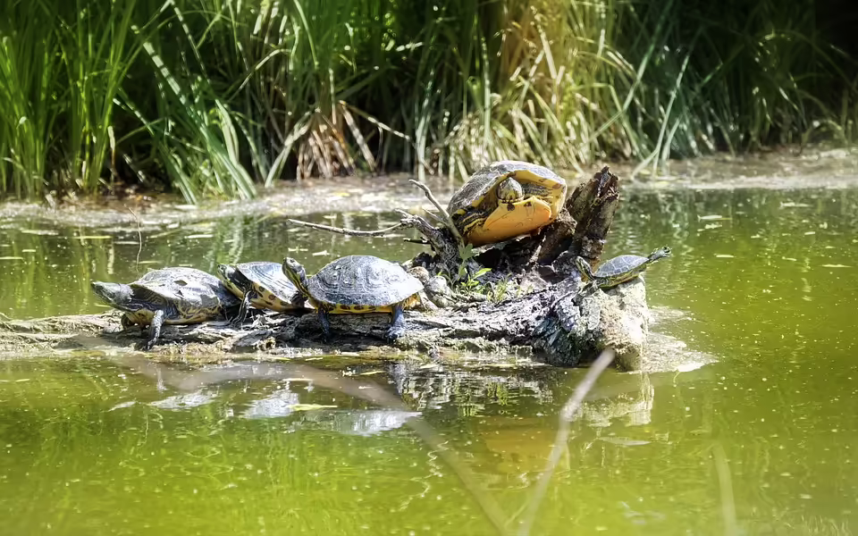 Neue Cookie-Einstellungen: So melden Sie sich für Kleine Zeitung an
