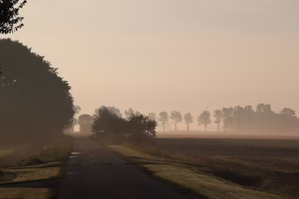 Neue Faschingsgilde in Eferding: Ein Neuanfang nach Streitigkeiten
