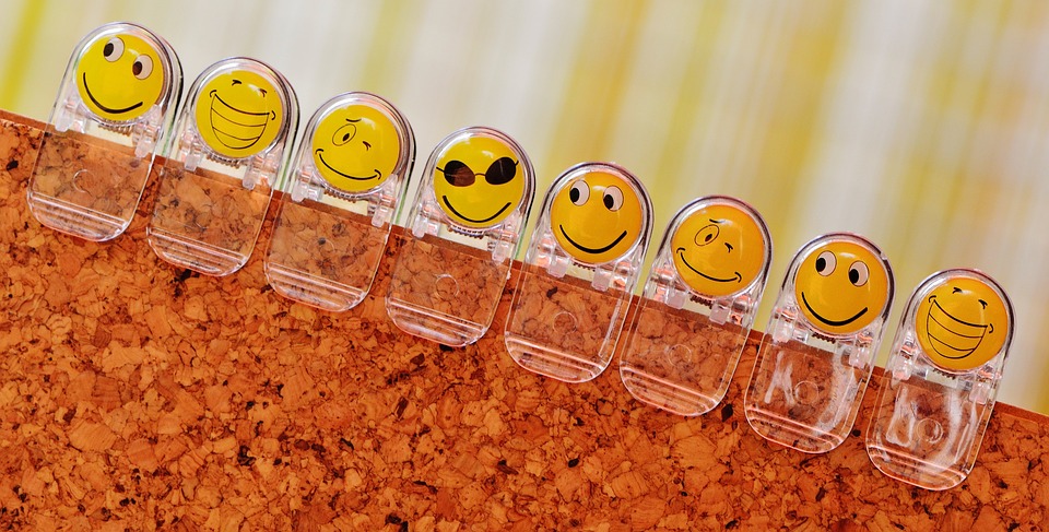 Neue Gesichter im KPÖ PLUS Landesvorstand: Frauenpower in Salzburg