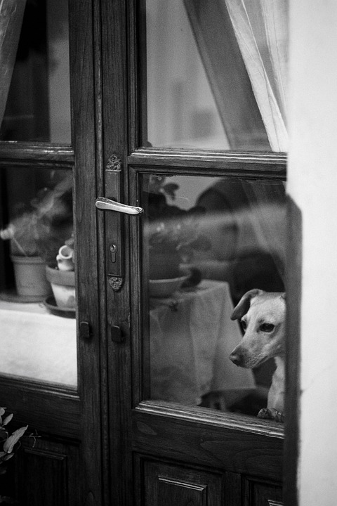 Neue Übergangswohnung in Kirchdorf: Hilfe für Frauen in Notlagen