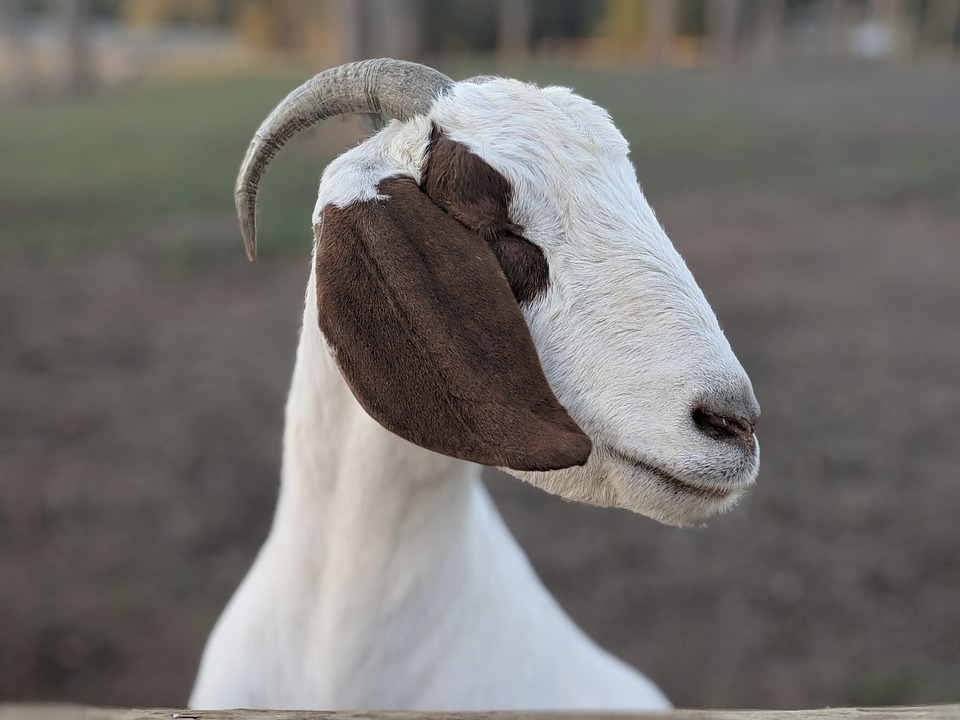 Neue Vorständin des Klinikums Horn: Besuch im Waldviertel