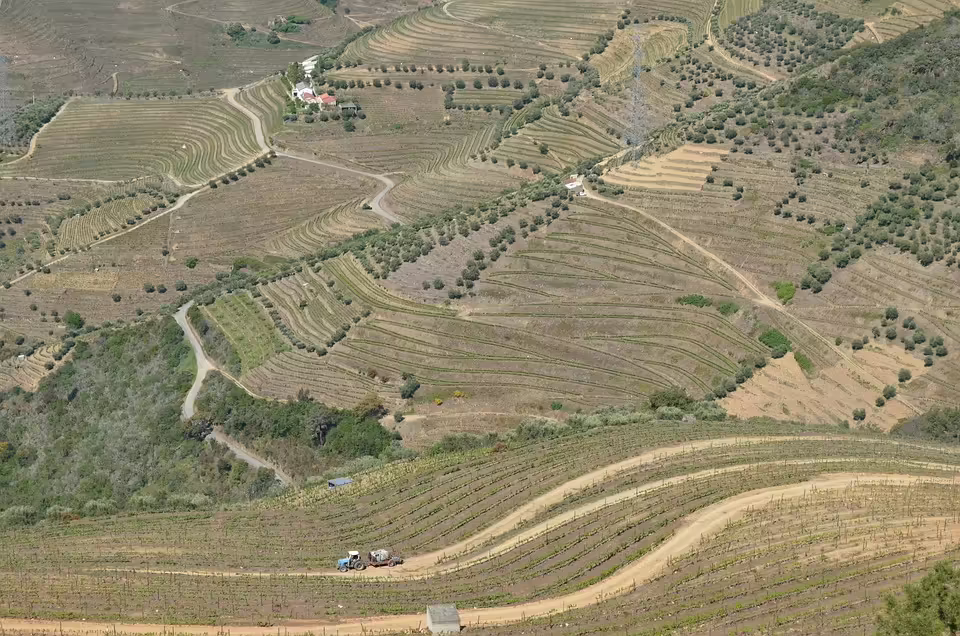 Neue Wege für  In aller Freundschaft -Stars: Podcast über Freundschaft und Leben