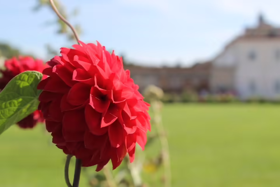 Neuer Augarten: Ein grünes Paradies für Kirchdorfer Familien