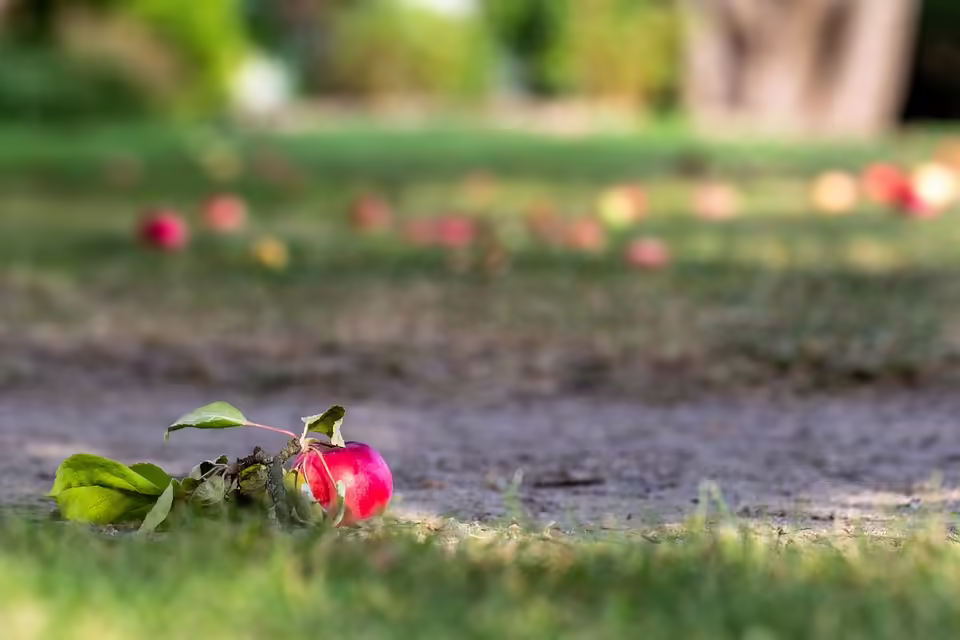 Neuer Bezirkshauptmann Watschinger: Frischer Wind im Urfahr-Umgebung