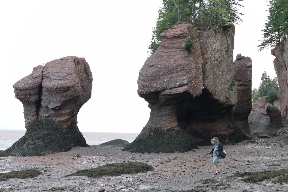 Neuer Hoffnungsschimmer: Erste Privatuni für Physiotherapie in Österreich