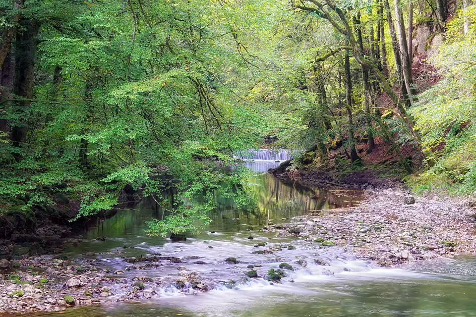 Neuer Kurs in Tirol: Dornauer bleibt im Landtag, Wohlgemuth übernimmt