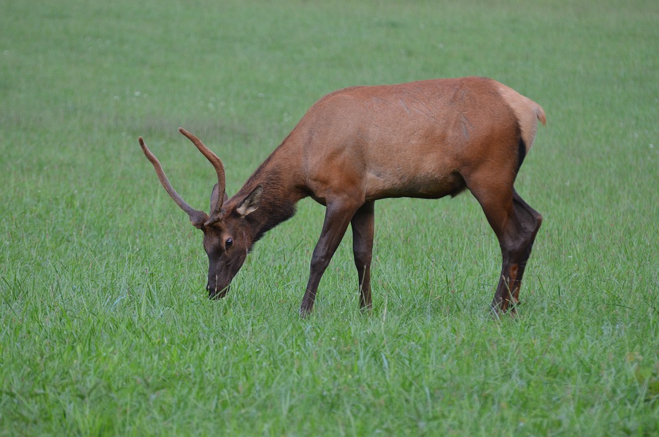 Neuer Schwung aus Salzburg: Reimanns eröffnen Brauerei im Bayerischen Wald