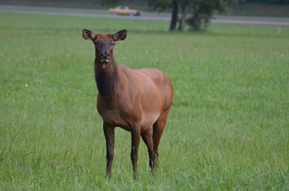 Neuer Schwung für die Grünen in Retz: Christian Schiemer tritt an