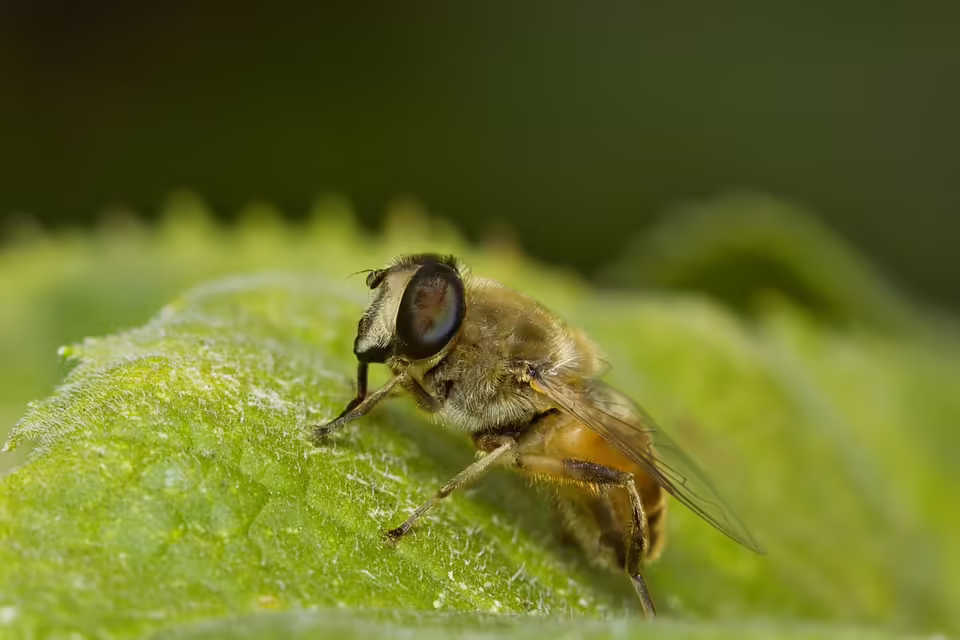 Neuer Spar-Supermarkt in Zwettl: Vielfalt, Jobs und Nachhaltigkeit!