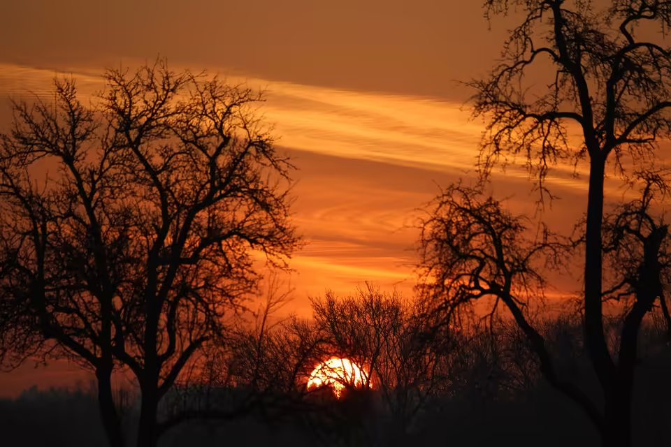 Neuer Standort für den Sportfischerverein Bremen am Unisee geplant