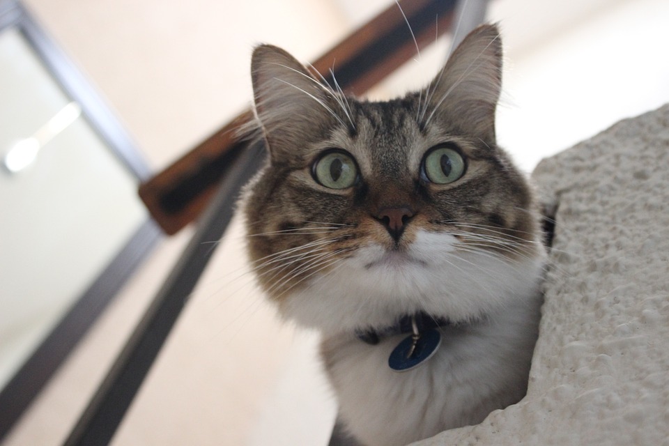 Neuer Weinvietler Altkleidersack: Ein Schritt zur Umweltfreundlichkeit