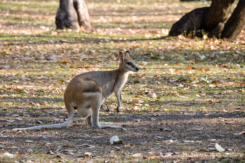 Neues Arbeitsstipendium 2025: 1.500 Euro für kreative Talente