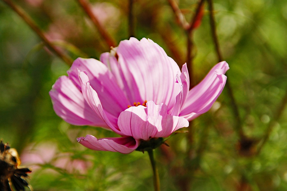 Neues Jahr, neue Attraktionen: Freizeitparks bieten spannende Highlights