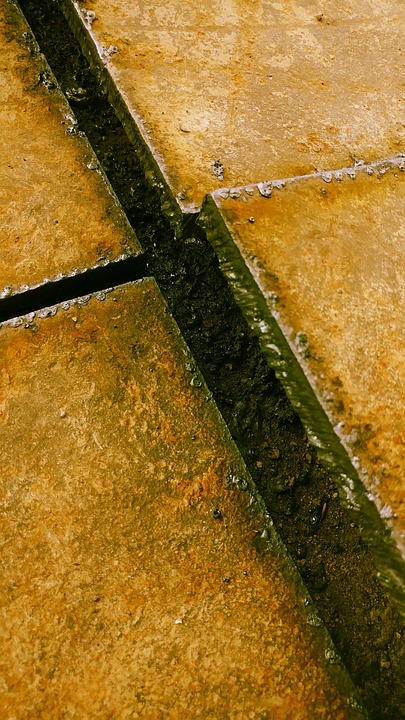 Neues von Mühlgraben: Jubiläumsfeier und spannende Projekte stehen an!