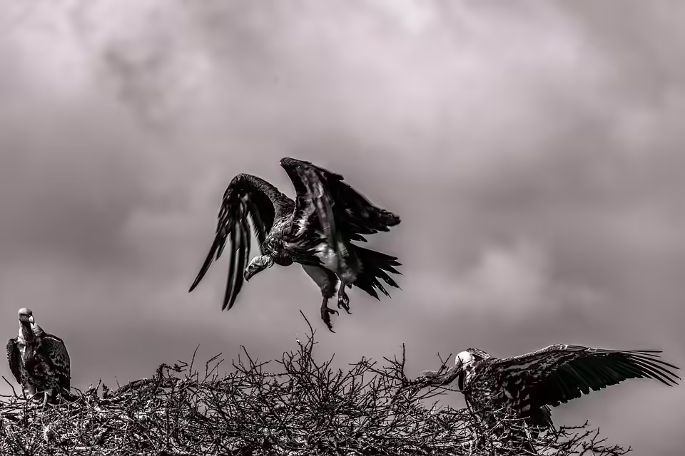 Neuigkeiten aus dem Bezirk Oberwart: Kompakte Infos auf einen Blick