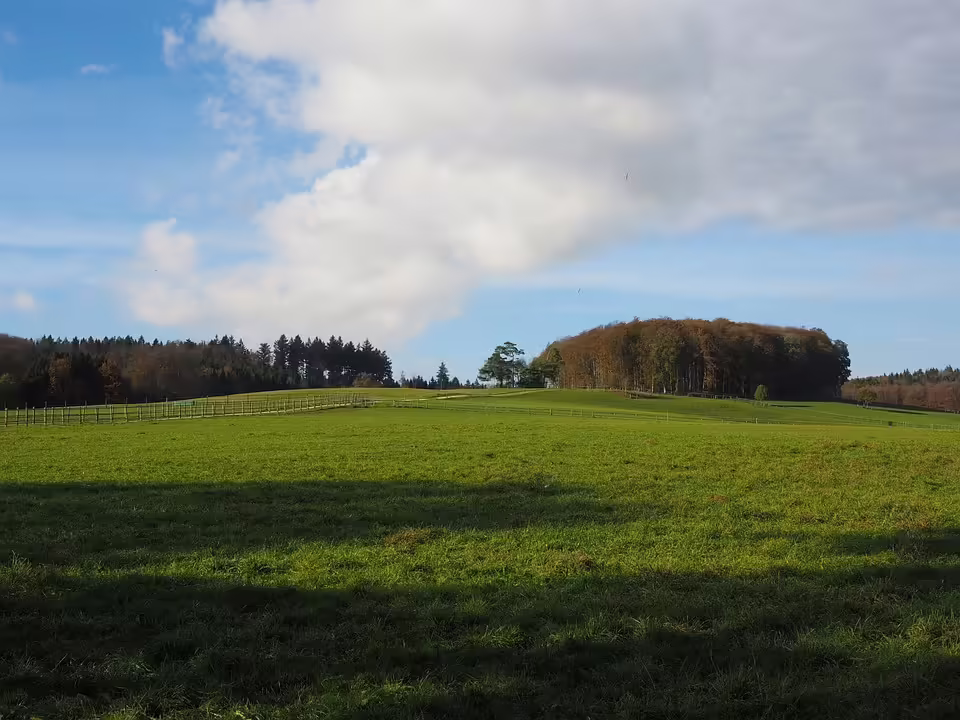 Neujahrskonzert 2025: Lienz feiert 200 Jahre Johann Strauss