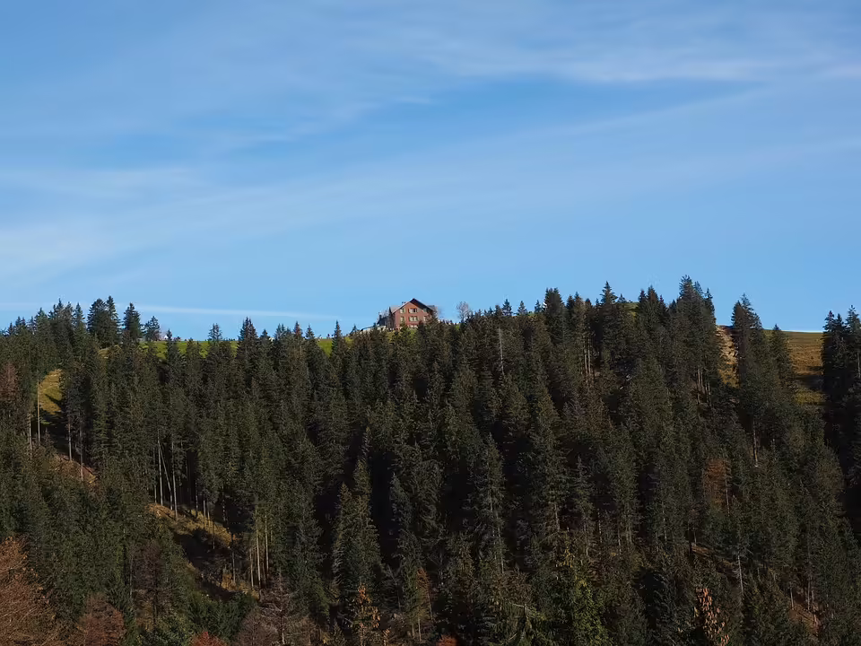 Neujahrsmusik und Gourmet-Dinner im Berghotel Tulbingerkogel