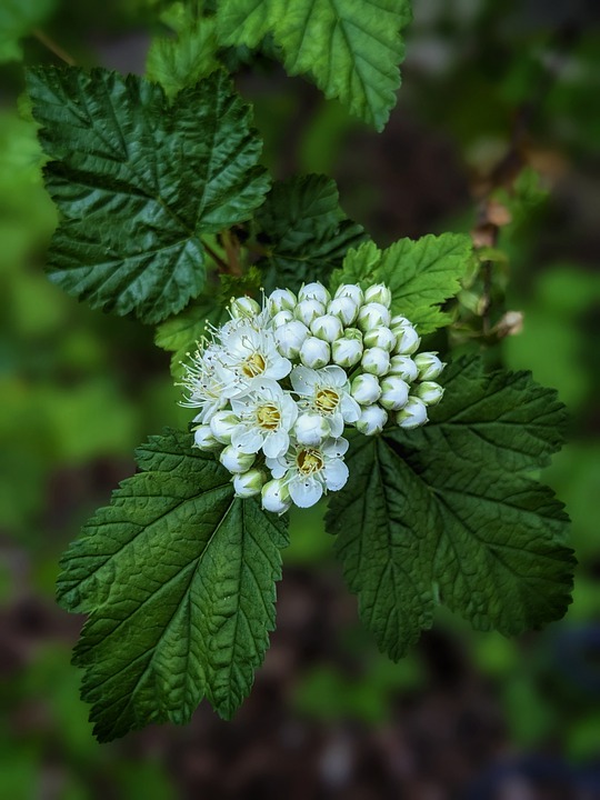 Neun Frauen im Rennen: Miss Germany 2025 sucht Führungspersönlichkeiten