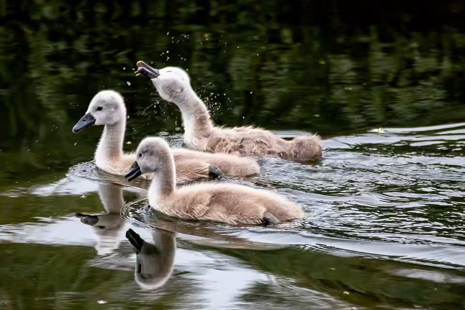 Neunkirchen-Seelscheid: Junger Drogendealer erhält anderthalb Jahre Haft
