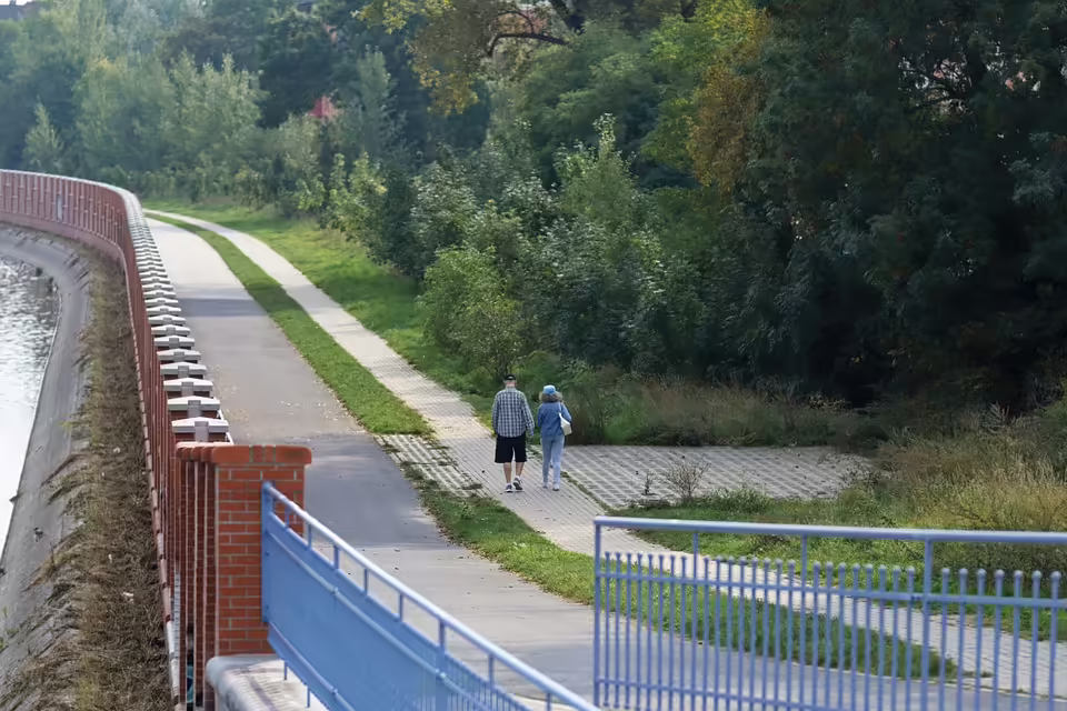 Neuwahlen und Ehrungen: Sportunion Bad Leonfelden feiert Erfolge