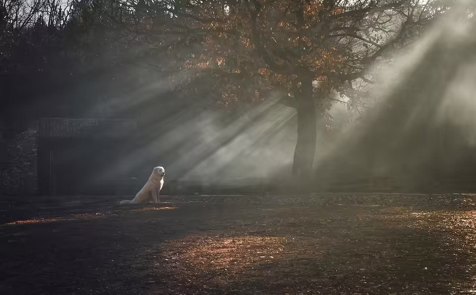 Nico Raschner: Ein Vorarlberger Talent erobert die Theaterbühne