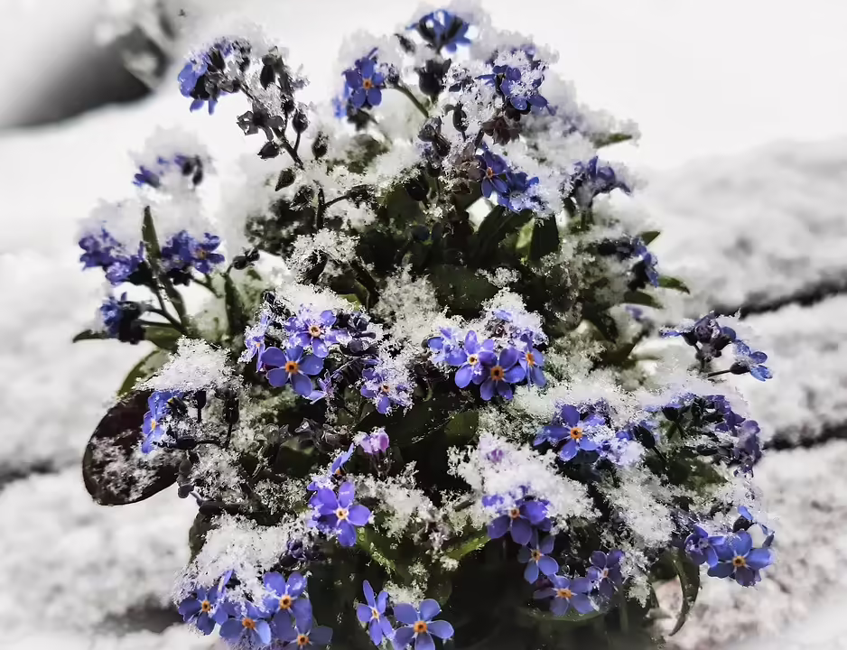 Niemals Vergessen: Gedenkveranstaltung zur Reichspogromnacht in Wels