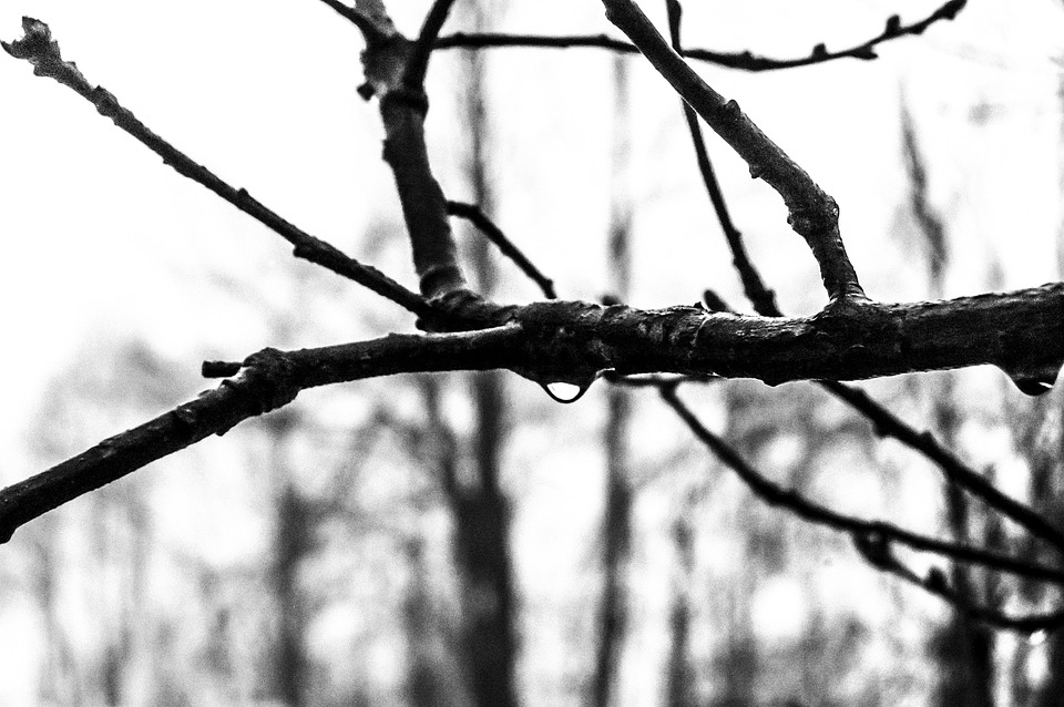 Notrufnummern auf Kassenzetteln: Wien kämpft gegen Gewalt an Frauen