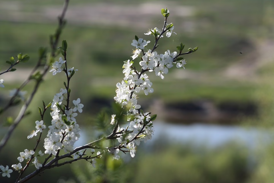 Oberwarts Natur leidet: Müll und Ignoranz am Pinka-Ufer