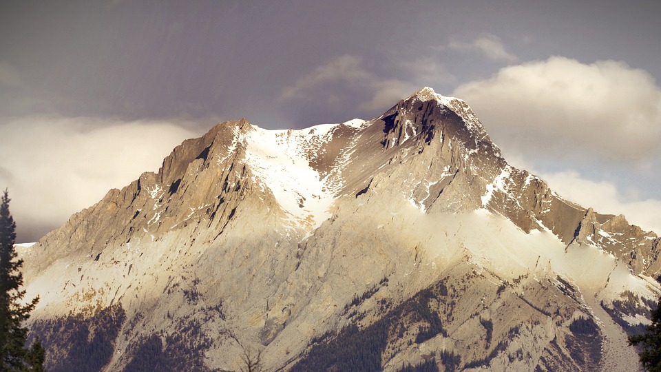 ÖFB-Krise: Die Herausforderung bei der Suche nach einem neuen Präsidenten