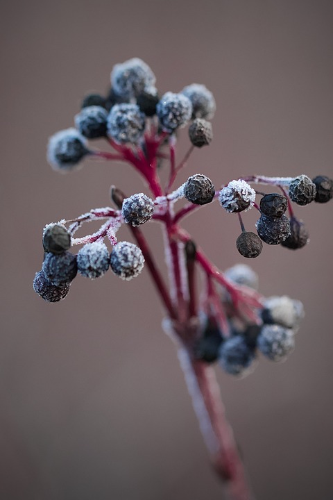 ÖVP kämpft eisig um Wählerstimmen am Lendplatz in Graz