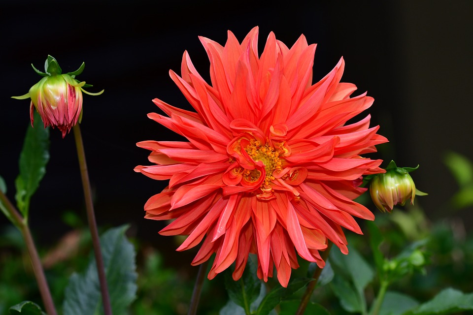 Ölspur in Villach: Feuerwehr im Großeinsatz in der unteren Fellach