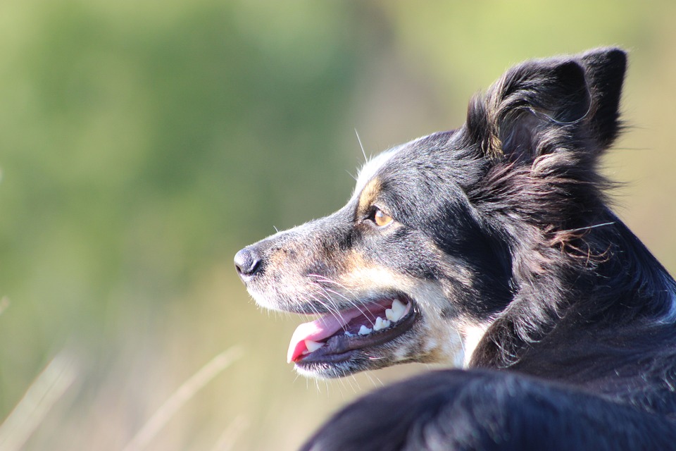 Österreichs Boarder treffen in China ein – Auf nach Thaiwoo!