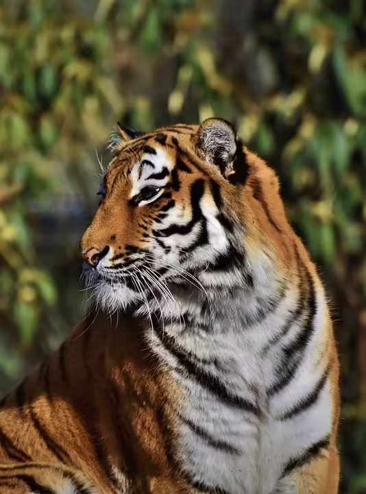 Pinkafelds Allwetterbad: Große Zukunft sichergestellt durch Verkauf an Land Burgenland