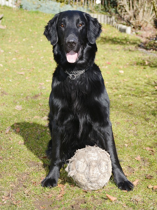 Pinzgau im Fußball: Analyse der Hinrunde und Ausblick auf die Rückrunde